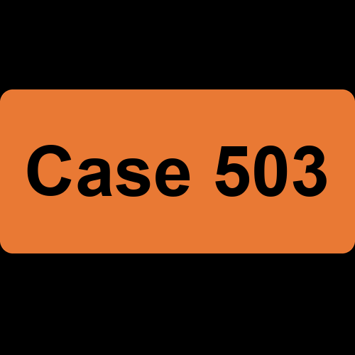 Case 503